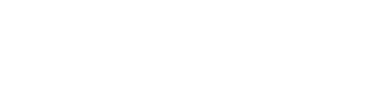 Logo-Dummy-10.png